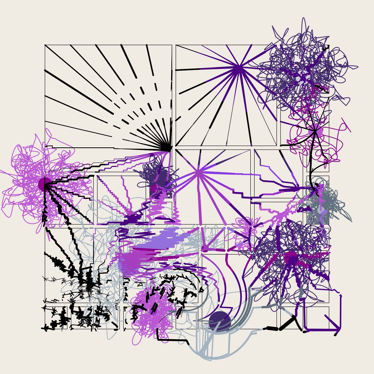 Mint #19