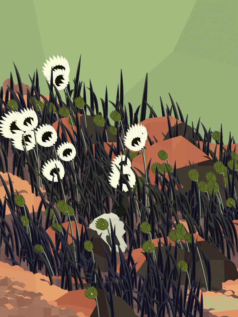Mint #52