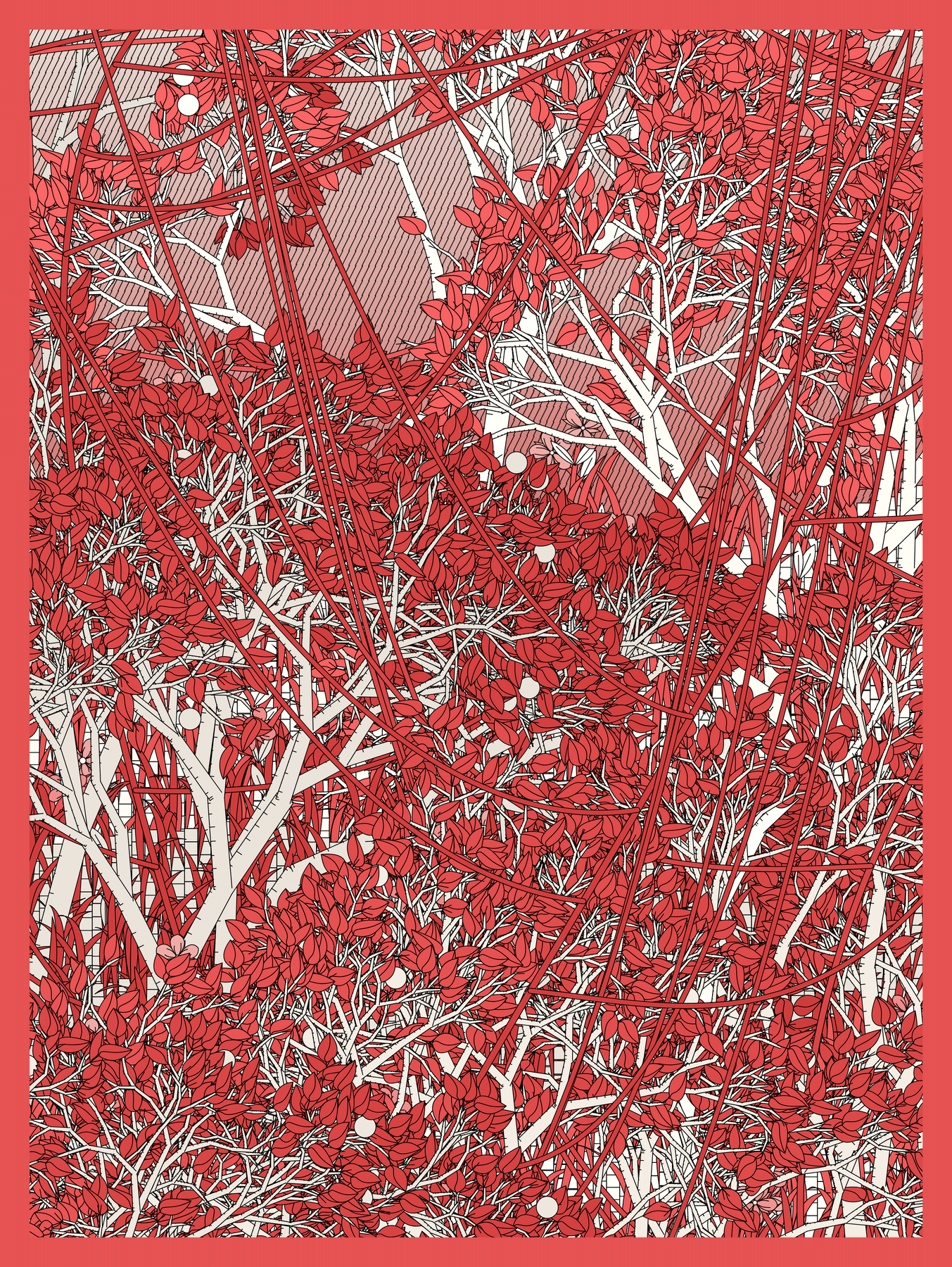 Entangled preview